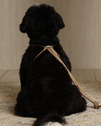 All-In-One Harness BEIGE