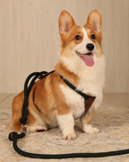 Essential Harness DEEP GREEN