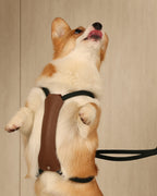 Essential Harness DEEP GREEN