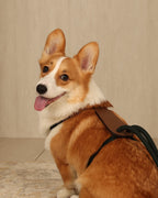Essential Harness DEEP GREEN