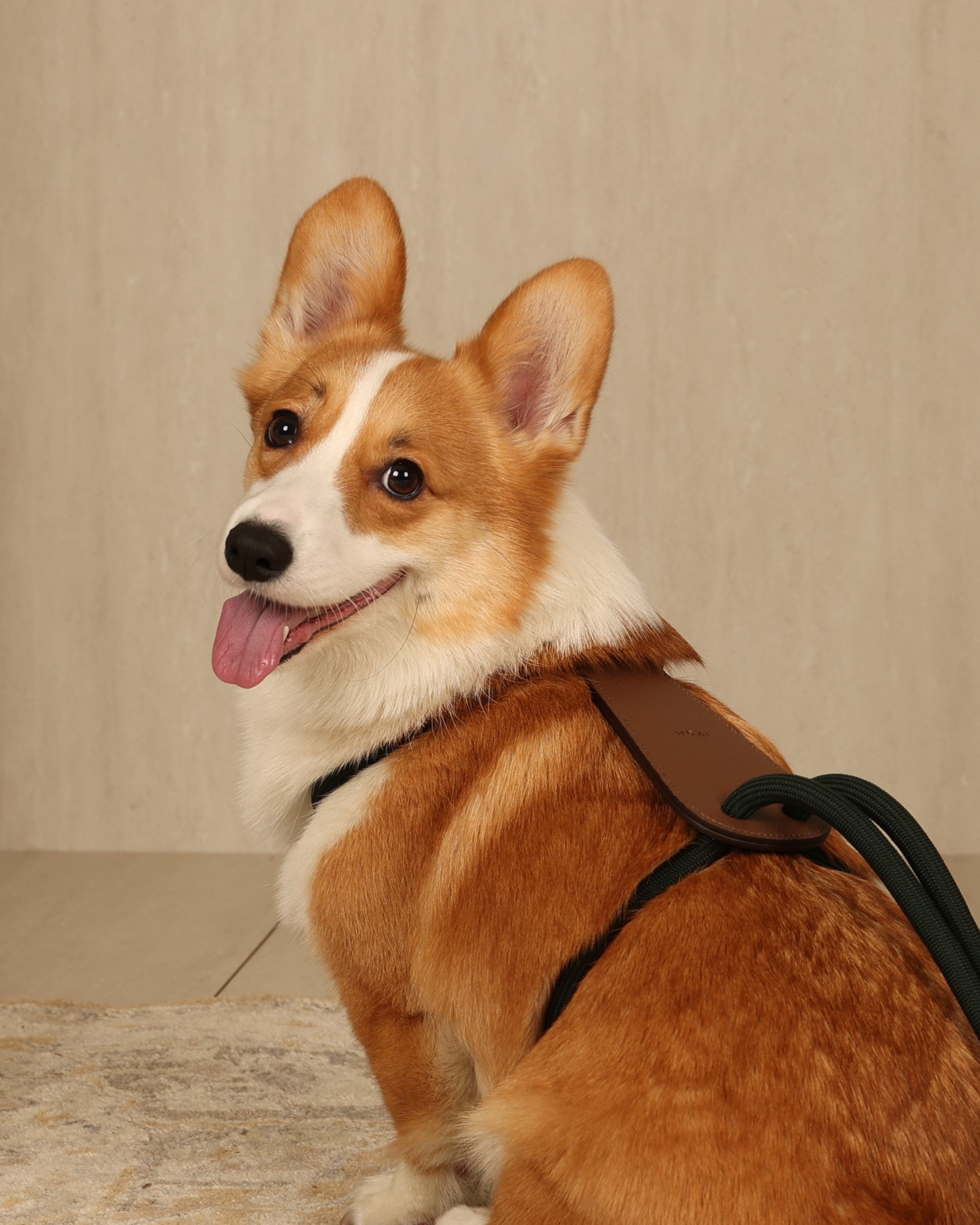 Essential Harness DEEP GREEN