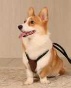 Essential Harness DEEP GREEN