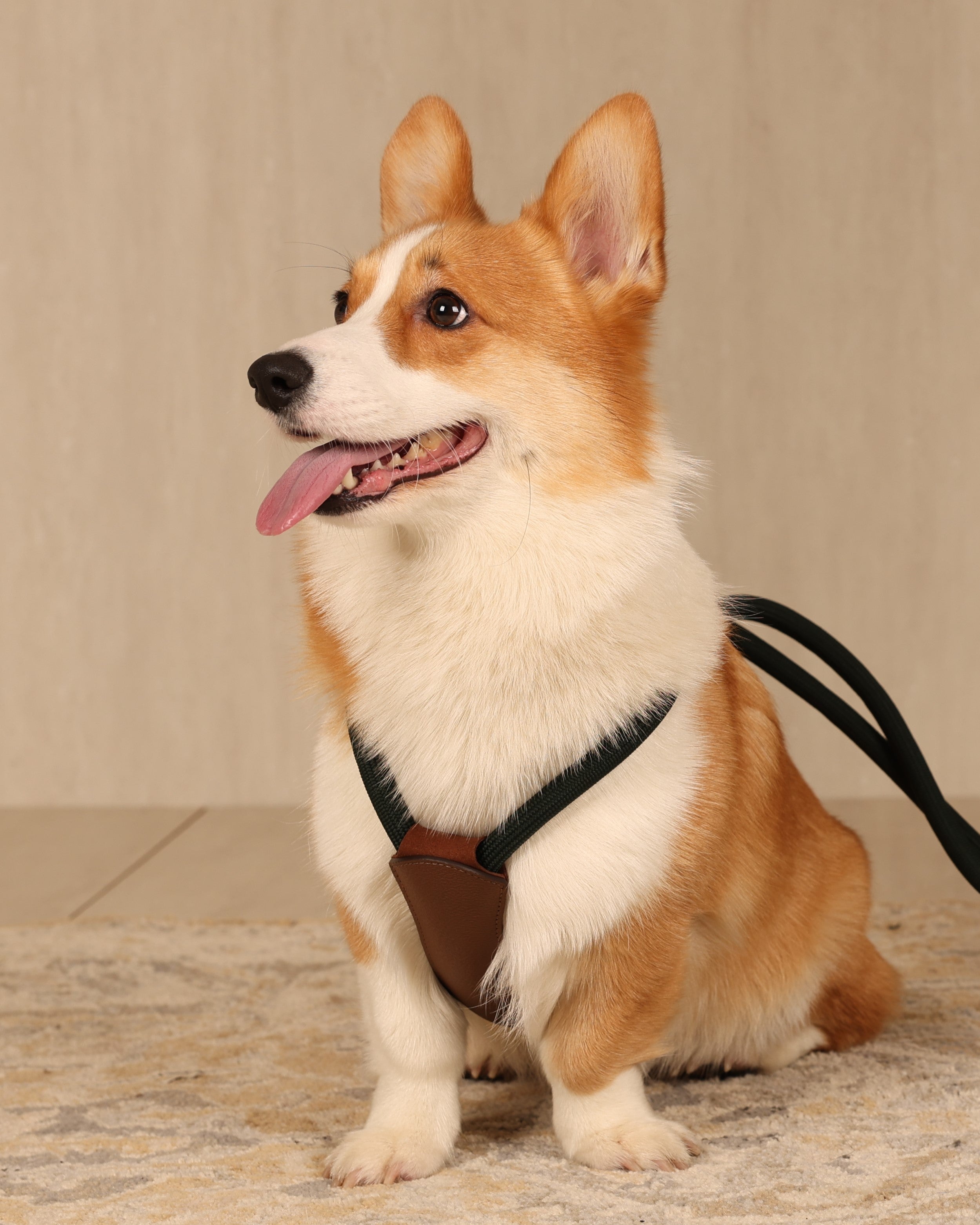 Essential Harness DEEP GREEN