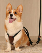 Essential Harness DEEP GREEN