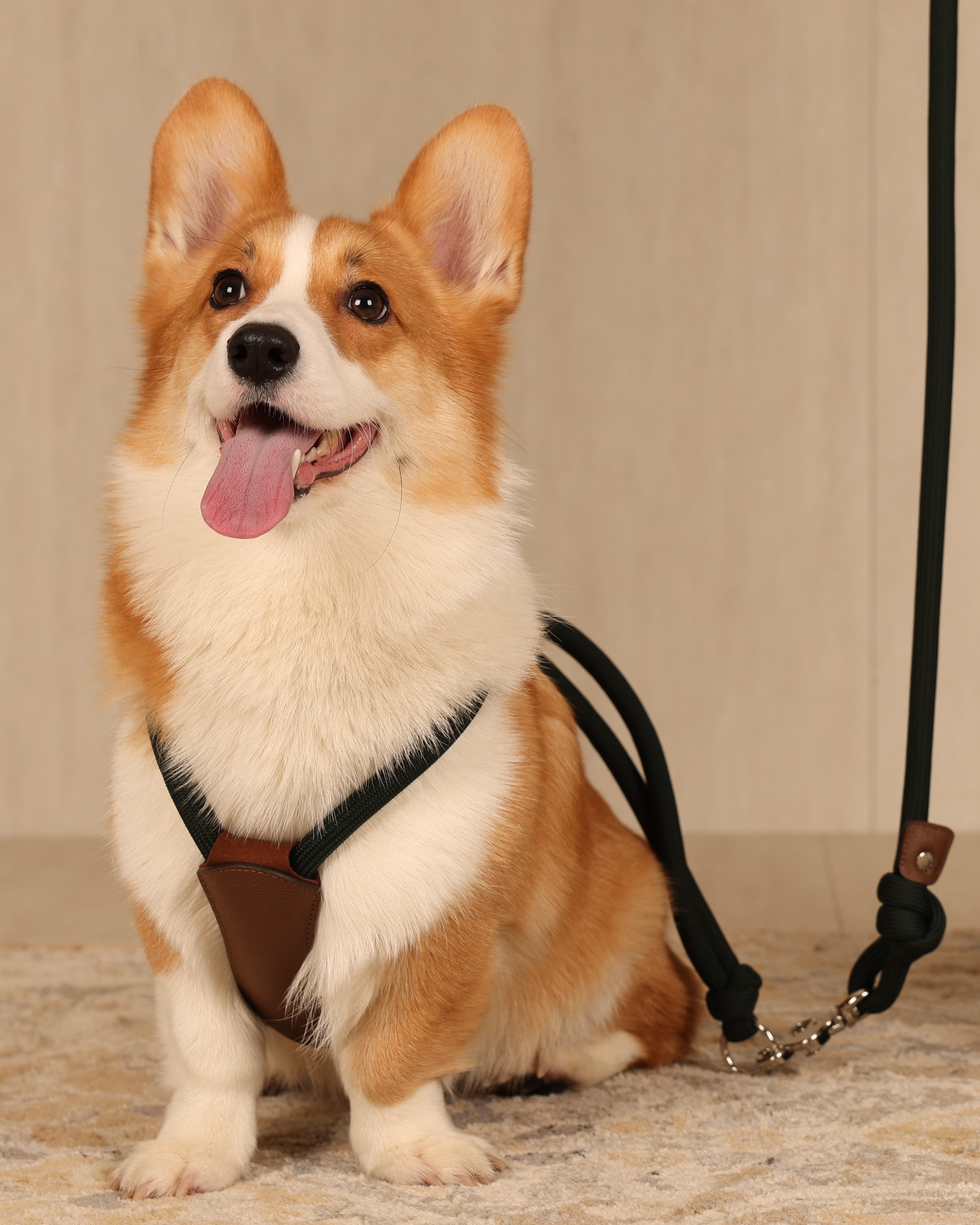 Essential Harness DEEP GREEN