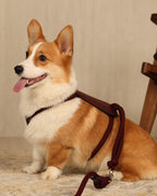 Essential Harness BURGUNDY
