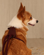 Essential Harness BURGUNDY