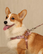 Horsebit Harness PINK