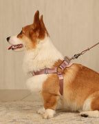 Horsebit Harness PINK