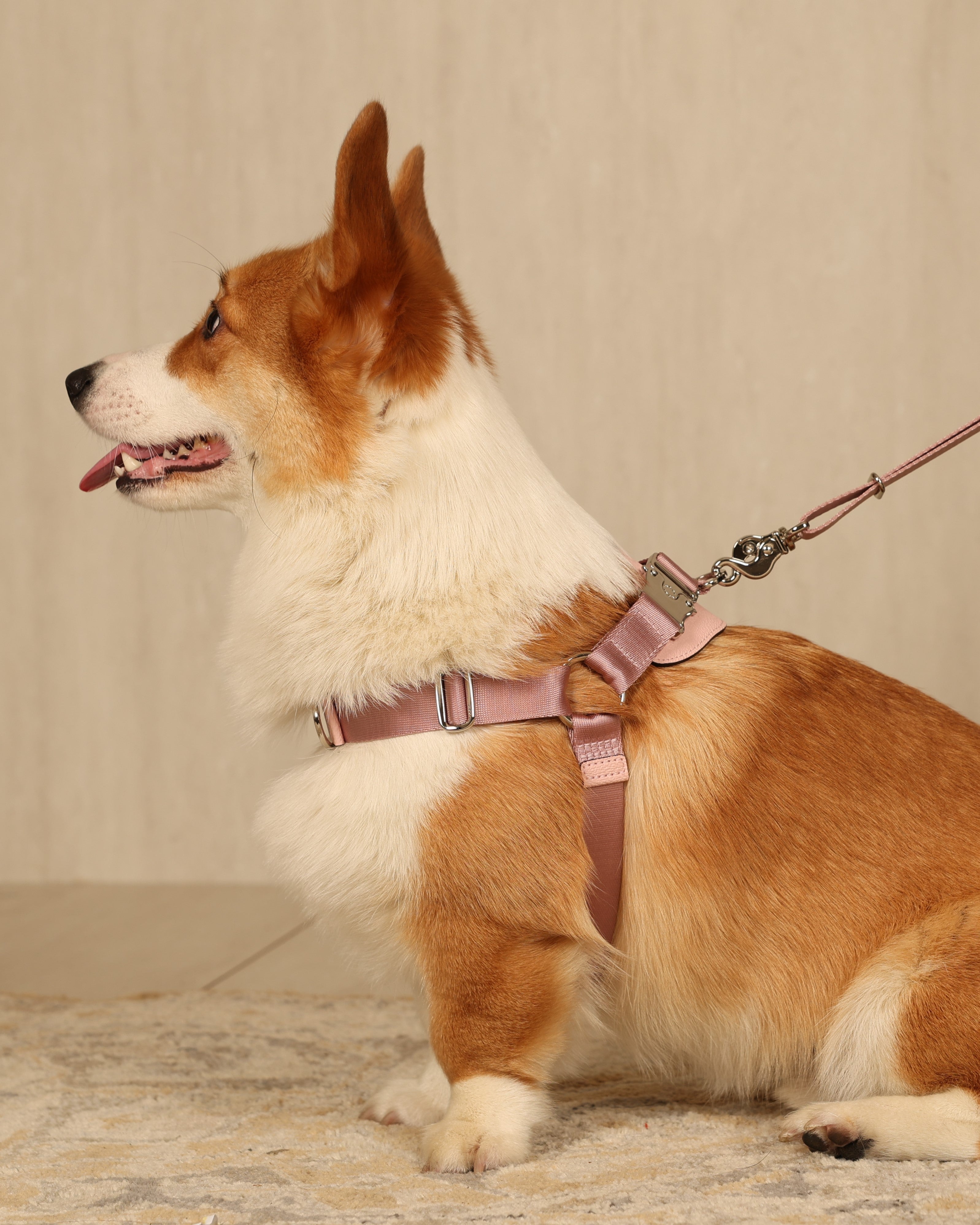 Horsebit Harness PINK