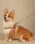 Horsebit Harness PINK