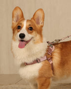 Horsebit Harness PINK