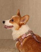 Horsebit Harness PINK