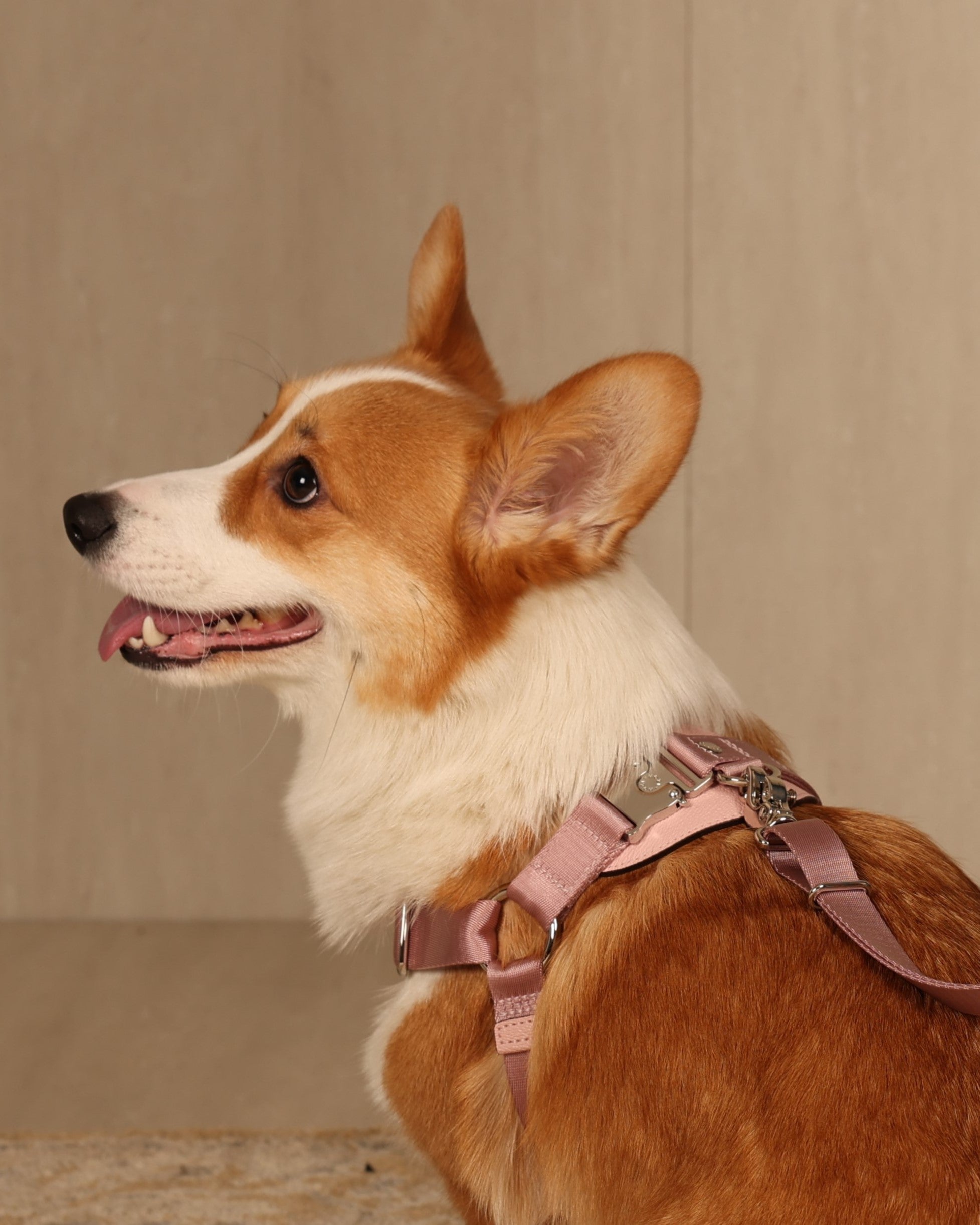 Horsebit Harness PINK