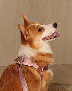 Horsebit Harness PINK