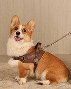 Saddle Harness MOCHA