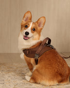 Saddle Harness MOCHA