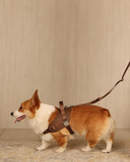Saddle Harness MOCHA