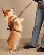 Saddle Harness MOCHA