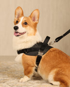 Saddle Harness BLACK