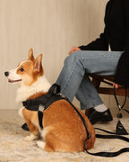 Saddle Harness BLACK