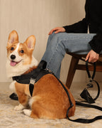 Saddle Harness BLACK