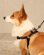 Horsebit Harness BLACK
