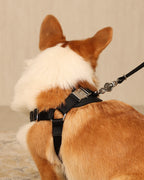 Horsebit Harness BLACK