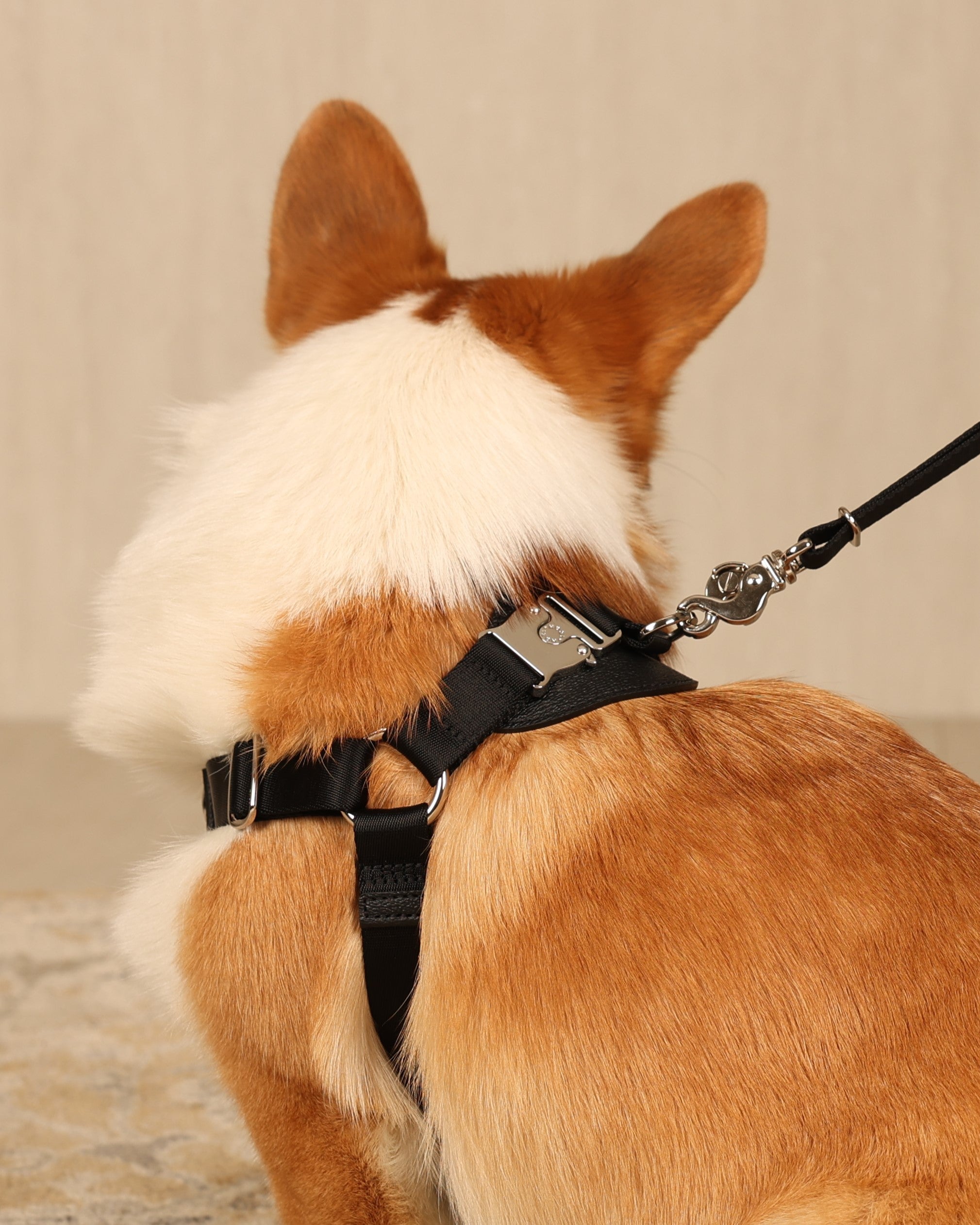 Horsebit Harness BLACK