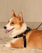 Horsebit Harness BLACK