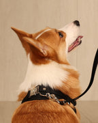 Horsebit Harness BLACK