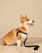 Horsebit Harness BLACK