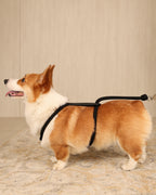 Essential Harness BLACK