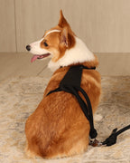 Essential Harness BLACK