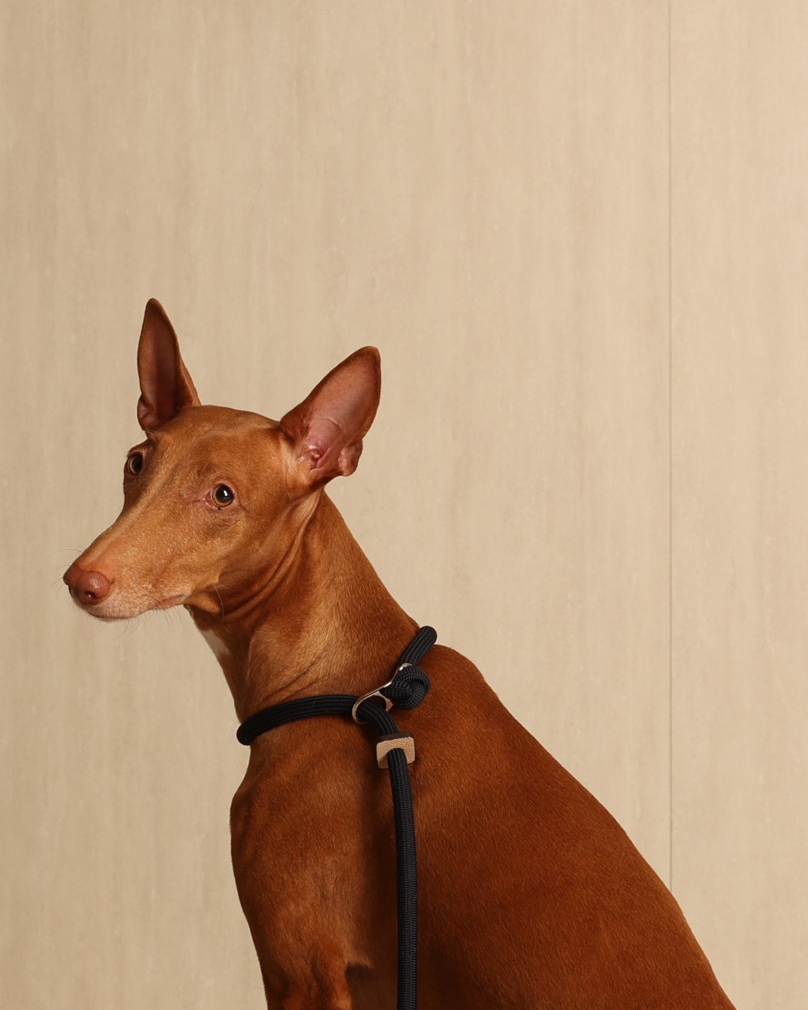 Slip Lead_NAVY
