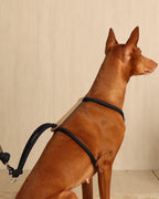 Essential Harness NAVY