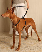Essential Harness NAVY