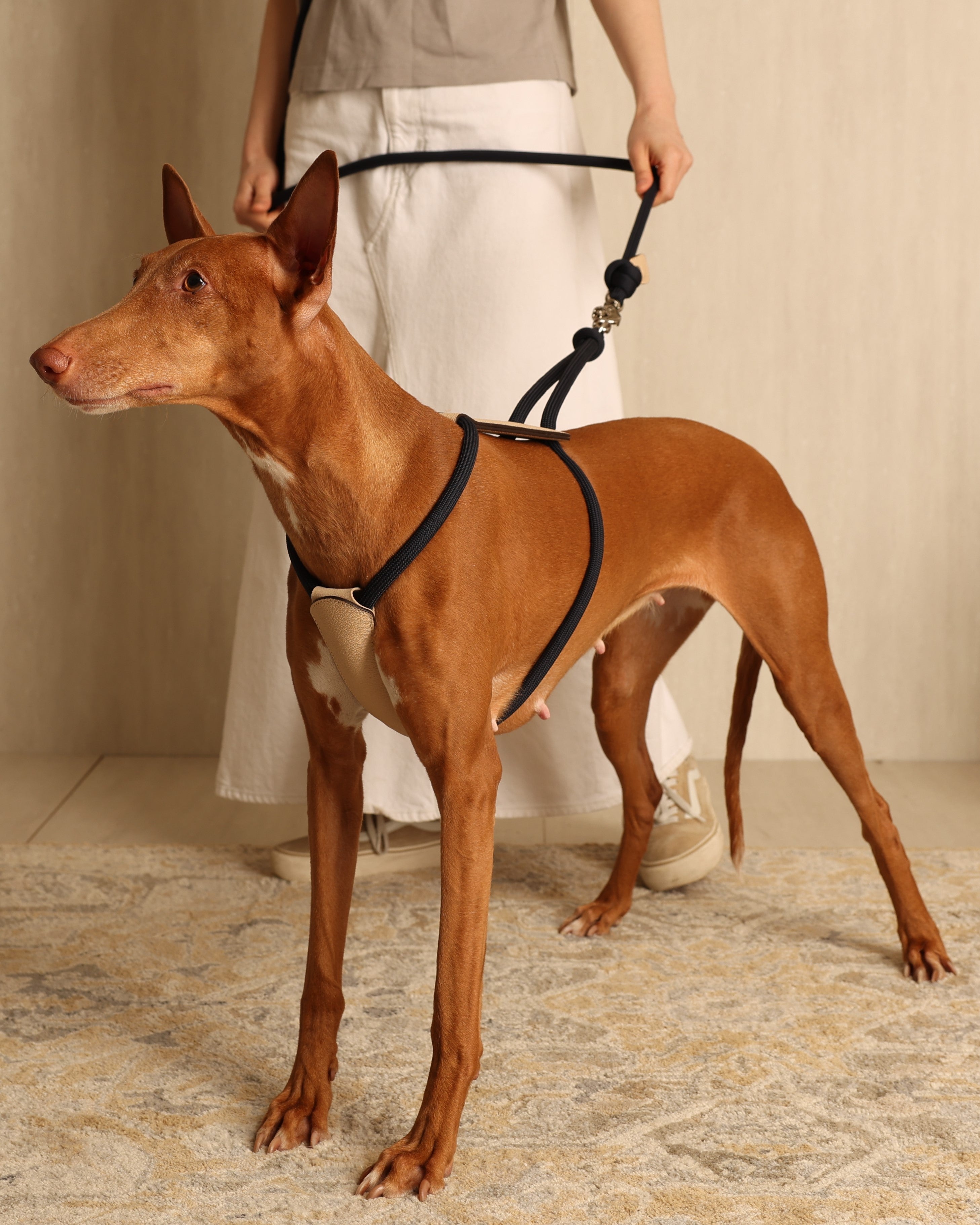 Essential Harness NAVY
