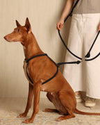 Essential Harness NAVY