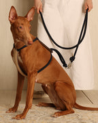 Essential Harness NAVY