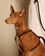 Essential Harness NAVY