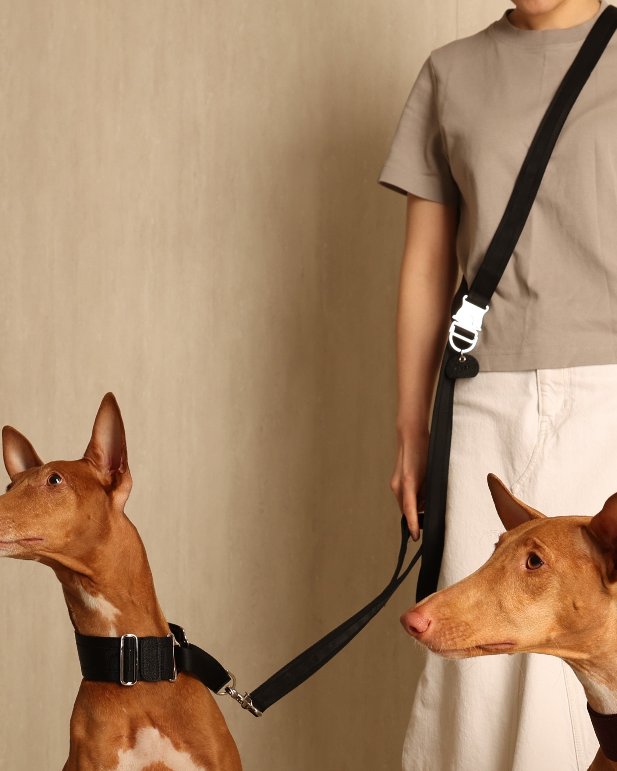 Saddle Hands-Free Lead_BLACK L