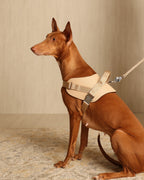 Saddle Harness BEIGE