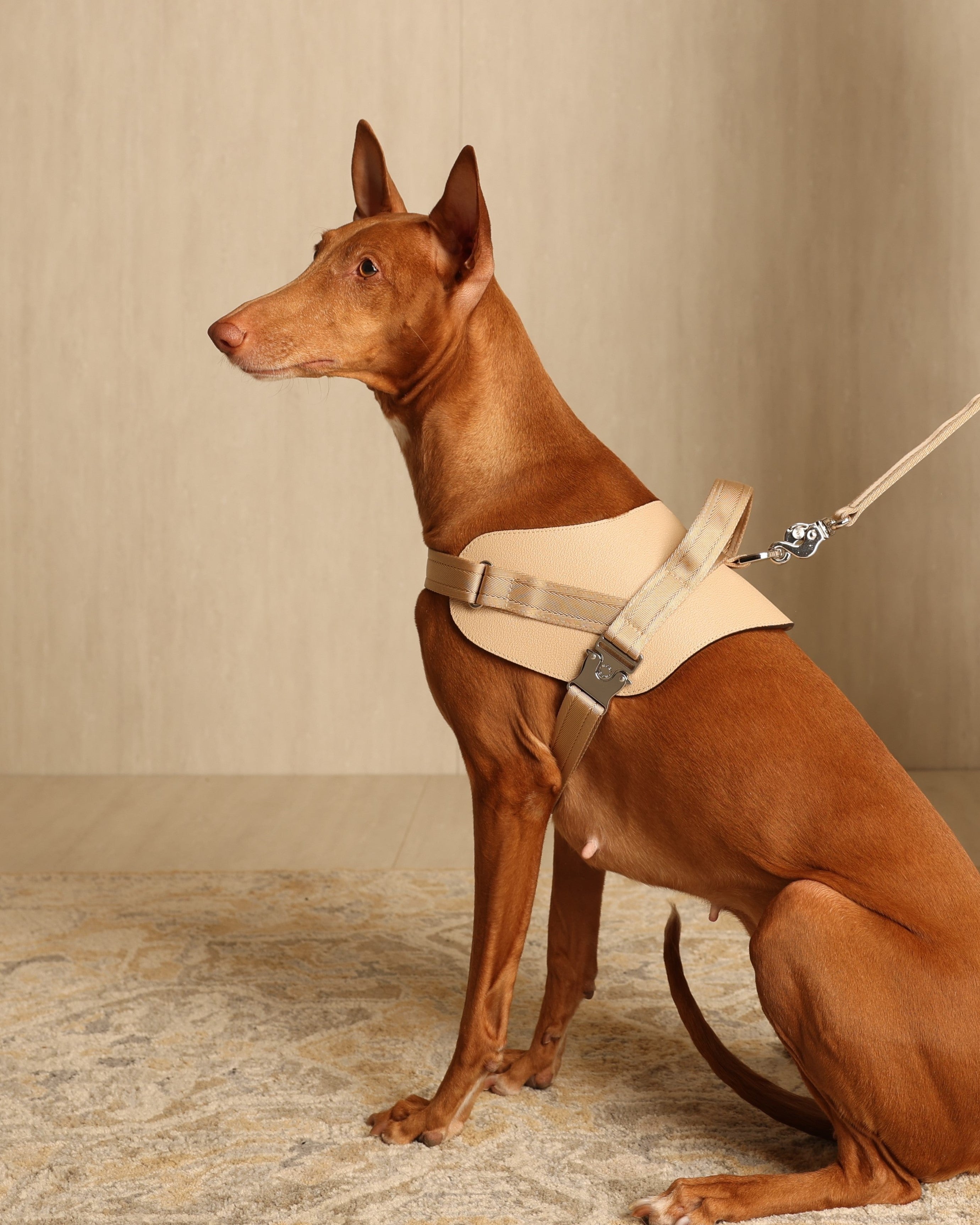 Saddle Harness BEIGE