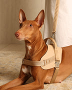 Saddle Harness BEIGE