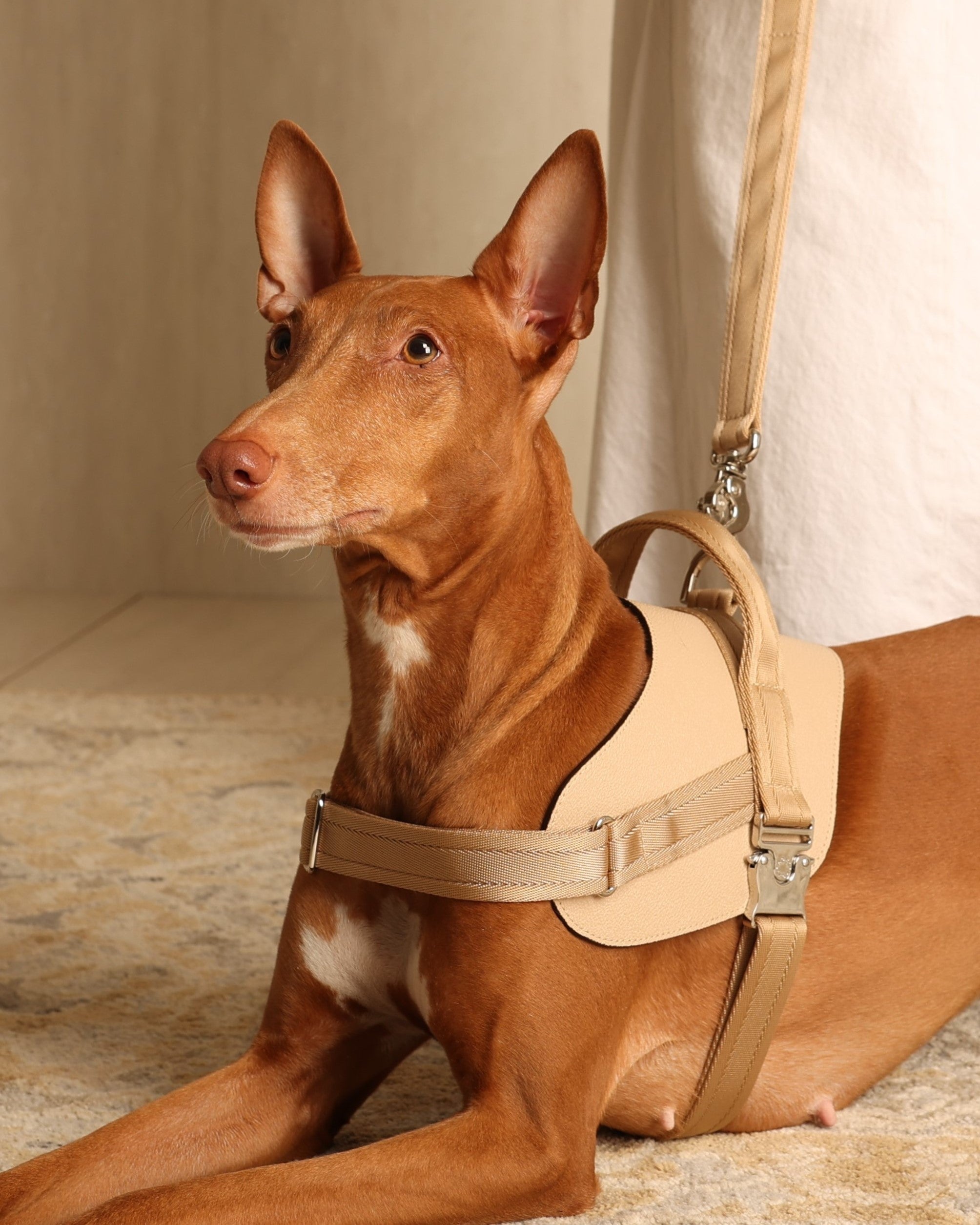 Saddle Harness BEIGE