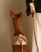 Saddle Harness BEIGE