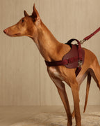 Saddle Harness BURGUNDY