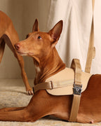 Saddle Harness BEIGE