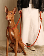 All-In-One Harness ORANGE